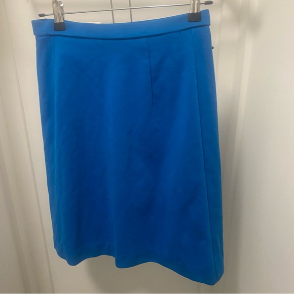 Vintage Catalina Blue A-Line Skirt - Picture 3 of 12